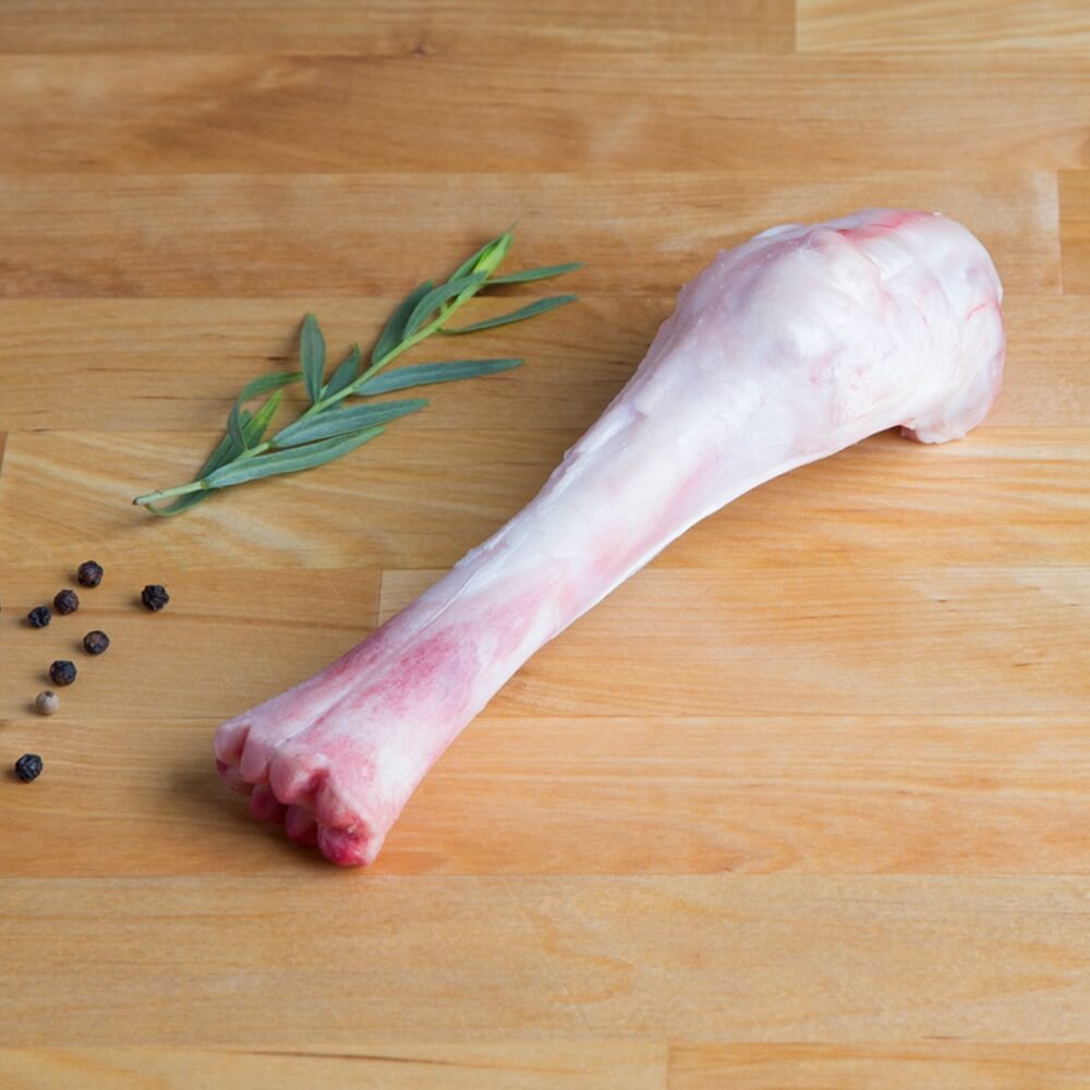 Grow & Behold Lamb Seder Bone
