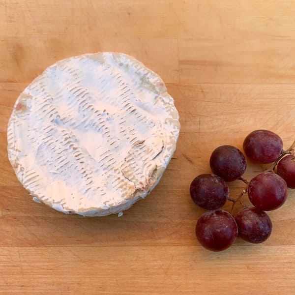 Vermont Bloom- Kosher for Passover