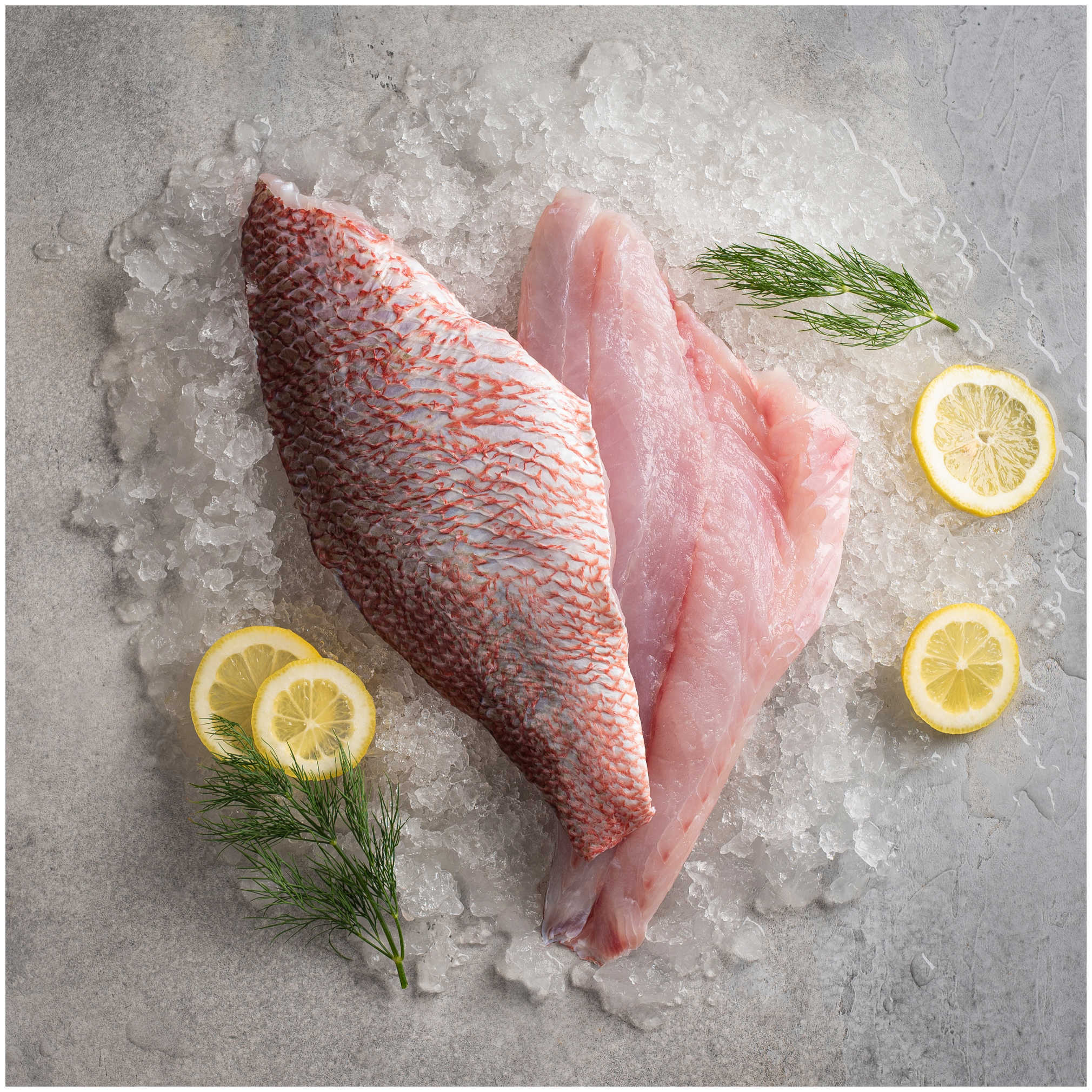 Red Snapper Filet Skin On 10 oz
