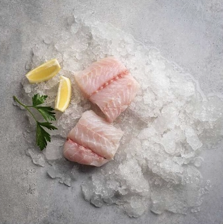 Halibut