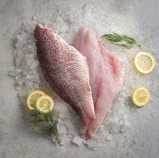 Snapper Filet, Skin-on