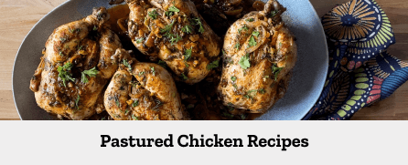 Chicken Recipes