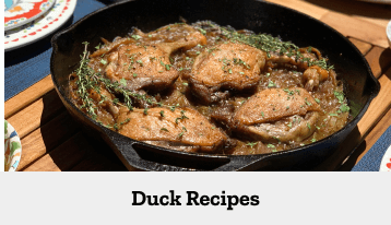 Explore Duck Recipes