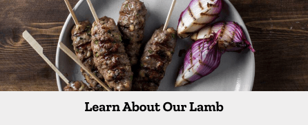 Explore All Recipes